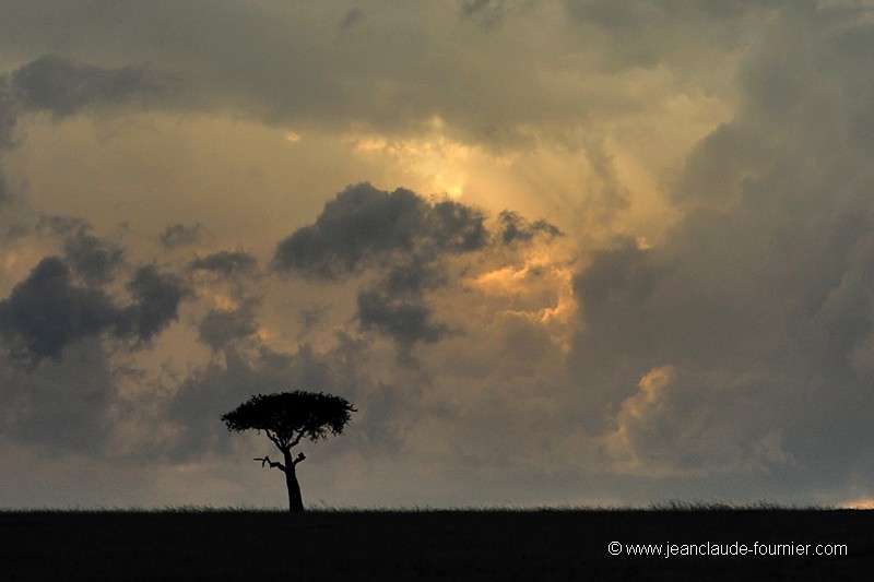 La nuit tombe sur la savane