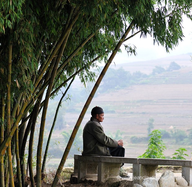 Méditation à l'ombre des bambous